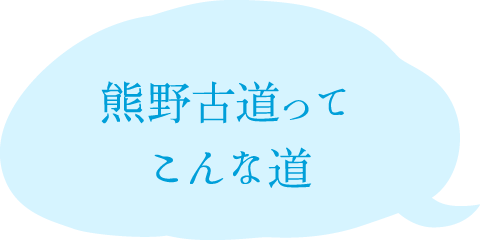 熊野古道ってこんな道