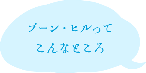 プーン・ヒルってこんなところ