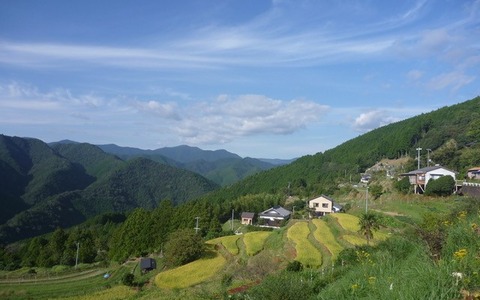 ～４月・５月開催の国内ツアーのご案内～